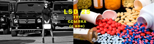 тгк Новозыбков