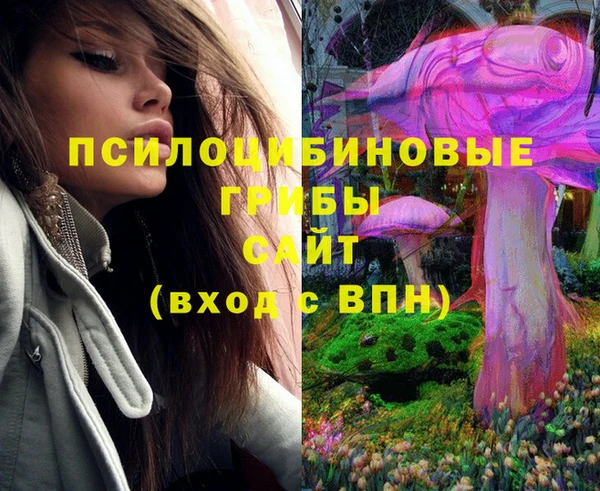 эйфоретик Новокубанск