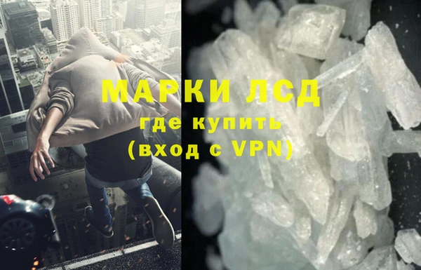 тгк Новозыбков
