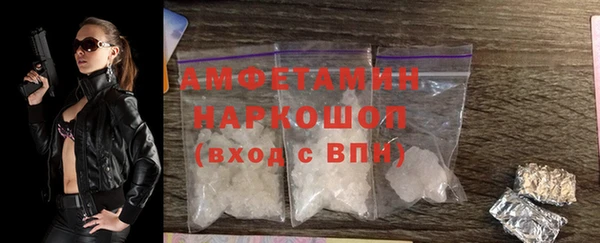 тгк Новозыбков