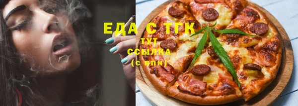 тгк Новозыбков